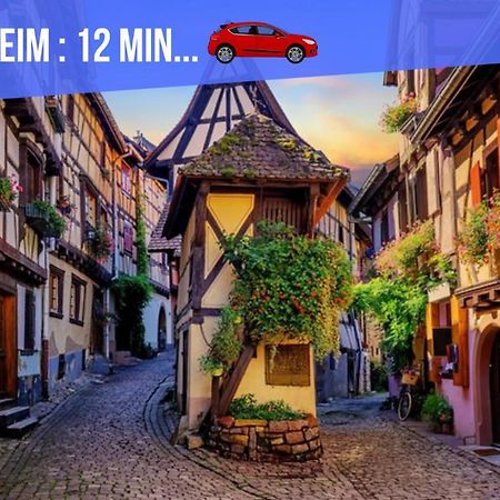Le Blue St Leon : 2 Pieces Cozy Lit King Size Wifi Apartment Colmar Luaran gambar