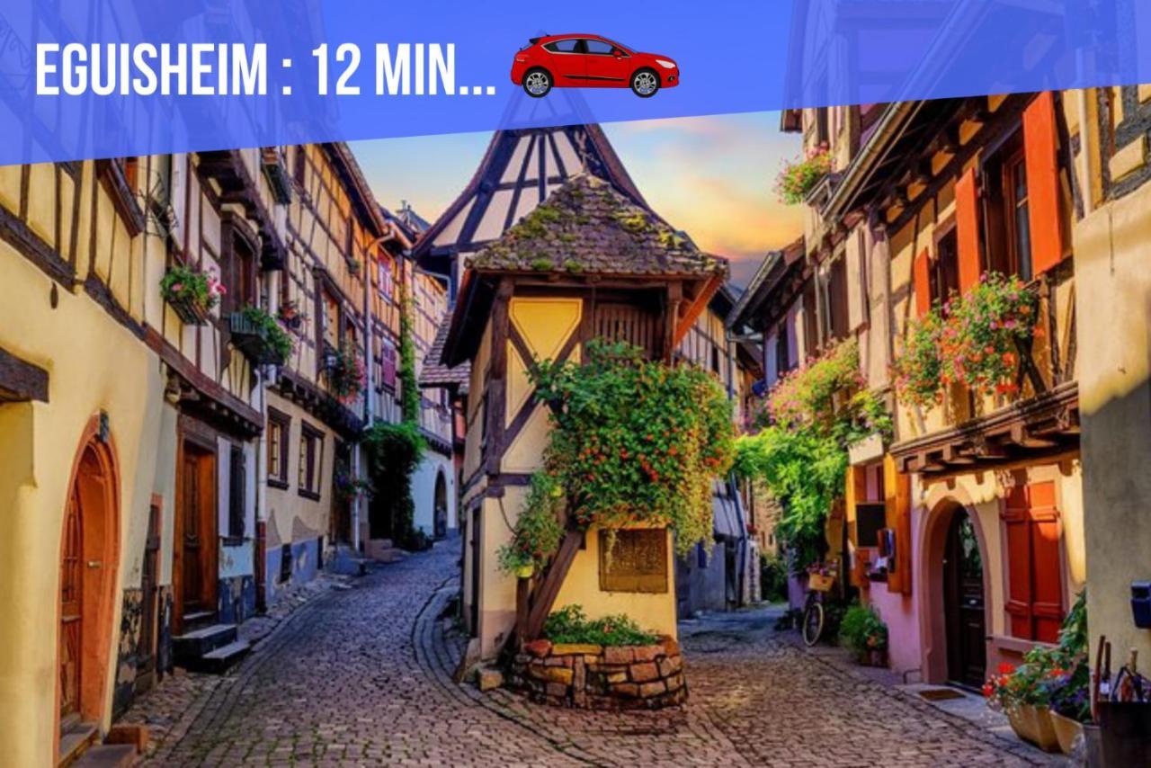 Le Blue St Leon : 2 Pieces Cozy Lit King Size Wifi Apartment Colmar Luaran gambar