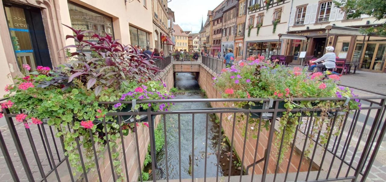 Le Blue St Leon : 2 Pieces Cozy Lit King Size Wifi Apartment Colmar Luaran gambar