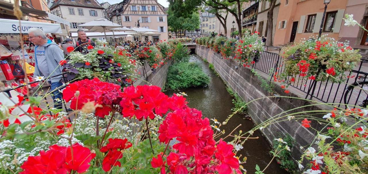 Le Blue St Leon : 2 Pieces Cozy Lit King Size Wifi Apartment Colmar Luaran gambar