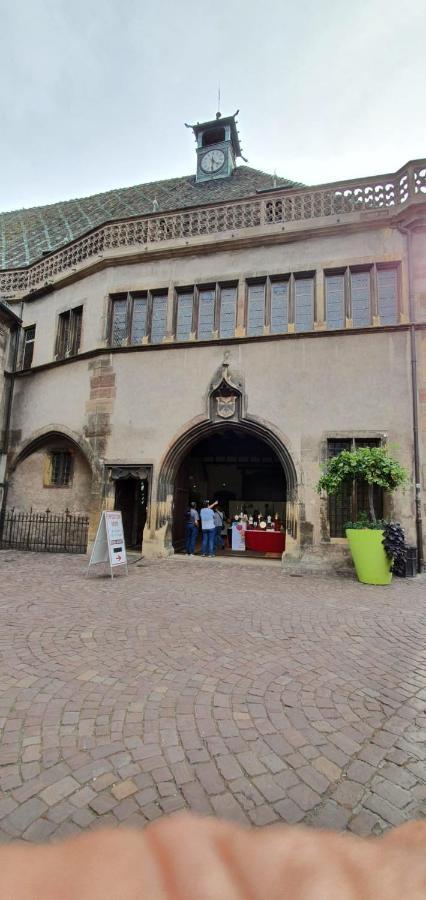 Le Blue St Leon : 2 Pieces Cozy Lit King Size Wifi Apartment Colmar Luaran gambar