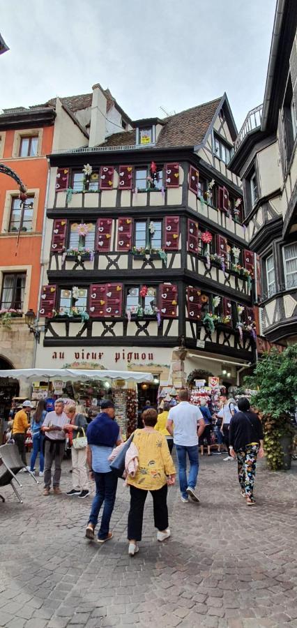 Le Blue St Leon : 2 Pieces Cozy Lit King Size Wifi Apartment Colmar Luaran gambar